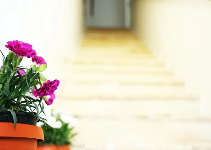 Terrazza Sul Mare Appartement Bari